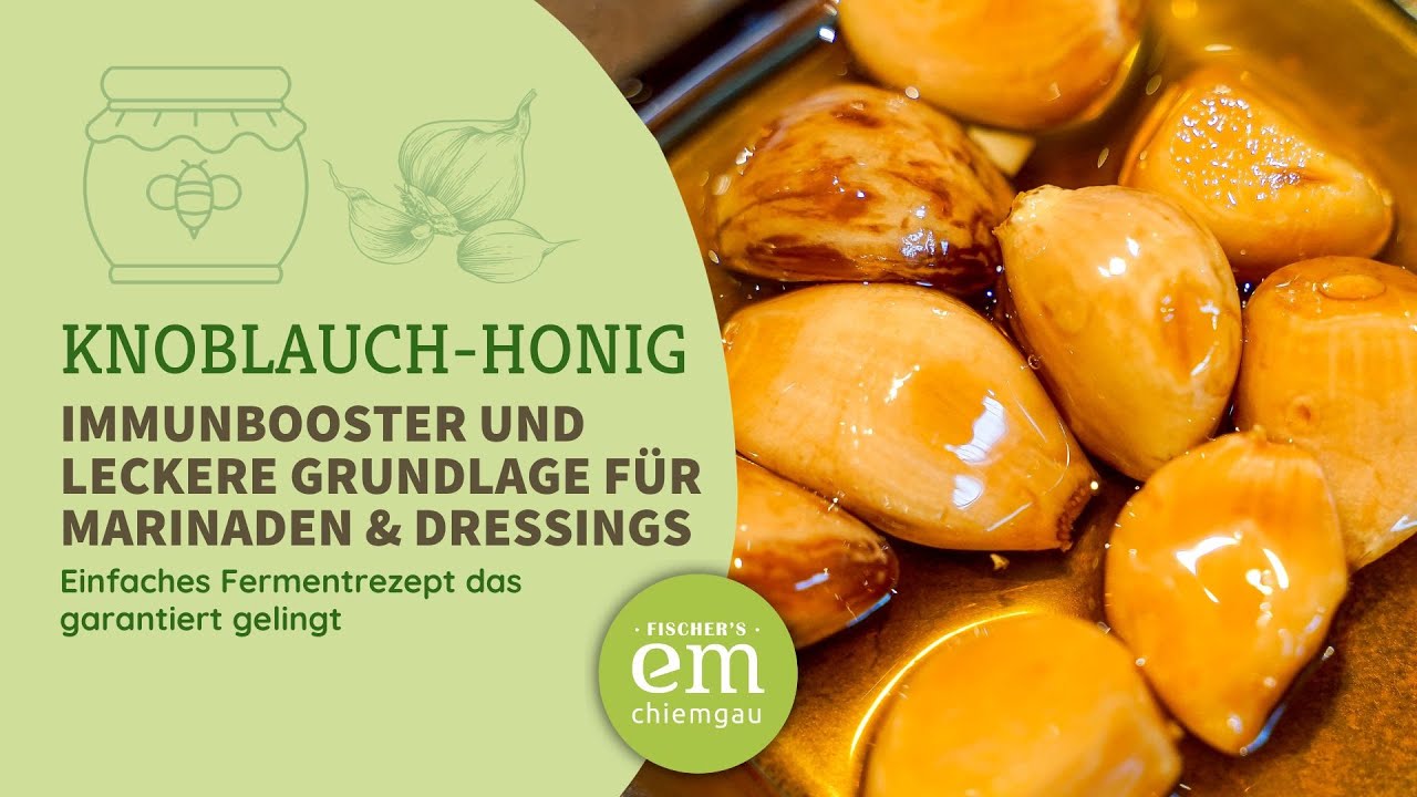 Knoblauch-Honig ganz einfach selber fermentieren - Immunboost & Küchen-Allrounder für das ganz Jahr