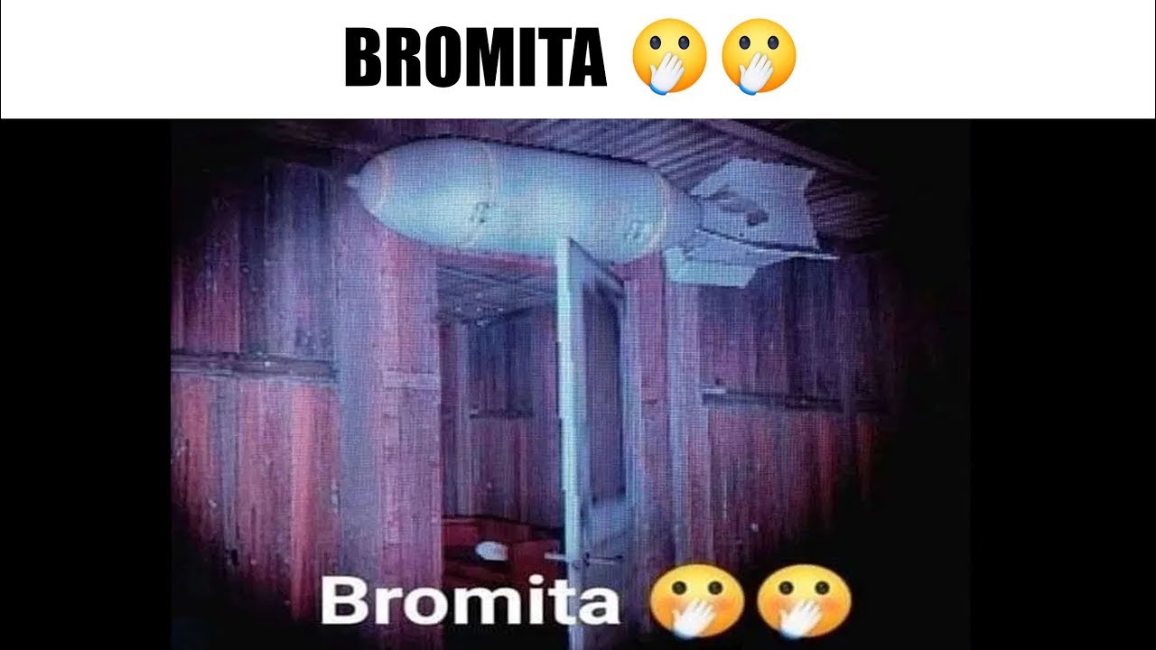 MEMES RANDOM 