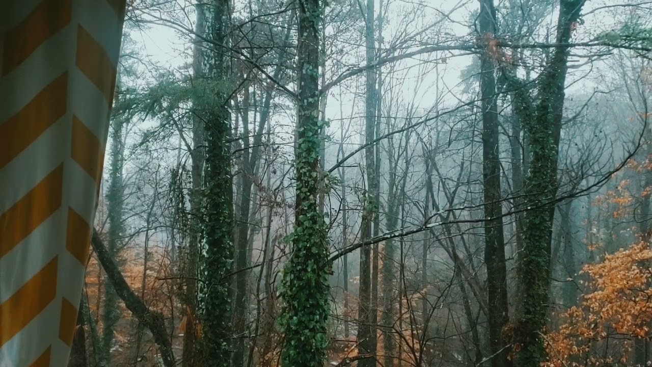 Visual ASMR: Rainfall 2