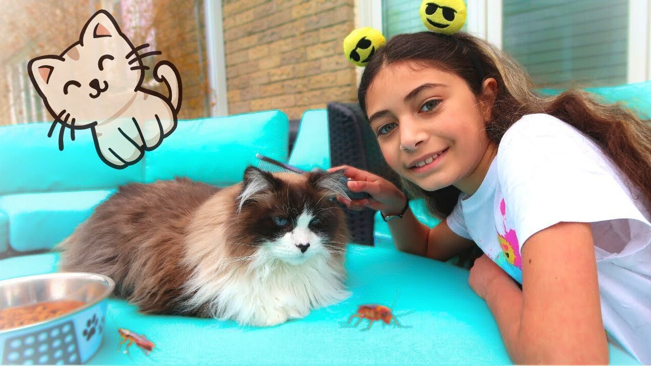 Heidi dan Zidane bermain dengan anak kucing! | ANAK KUCING MEONG MEONG