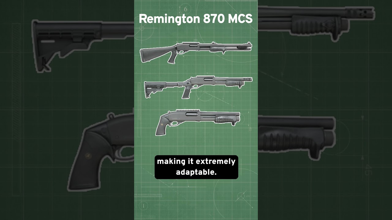 Best Shotguns of the US Military
