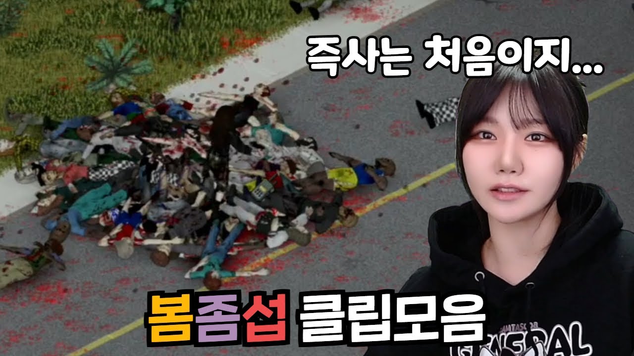 1년 만에 좀보이드 했더니 뇌 리셋된 이야기