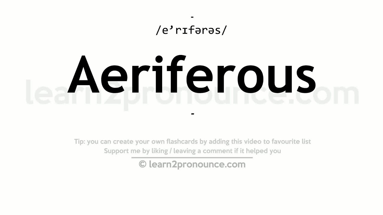 Wymowa Aeriferous | Definicja Aeriferous