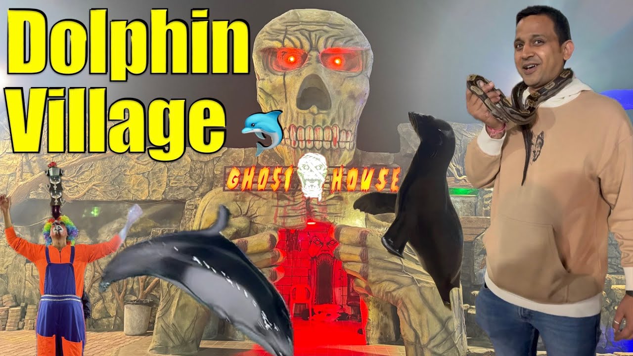 Dolphin village Dammam 2025 | Sealion show | Circus, water park , Ghost House | Dammam Dolphin Show