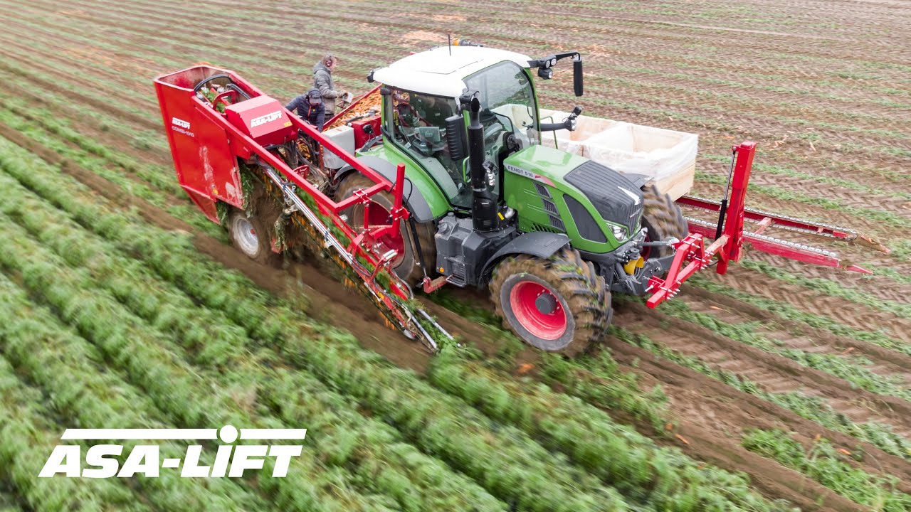 Carrot harvesting in Norway - Combi-1010C