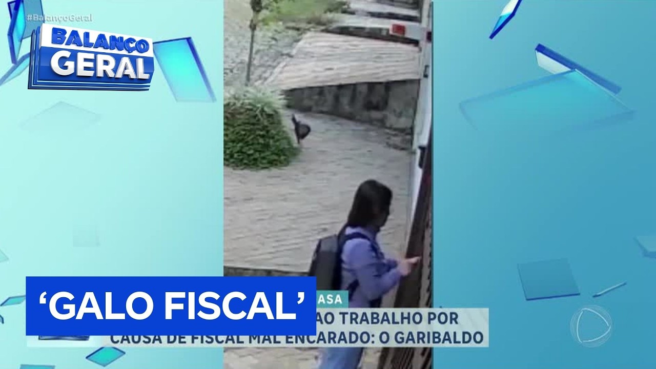 Galo impede moradora de sair para o trabalho em São Paulo e caso viraliza nas redes