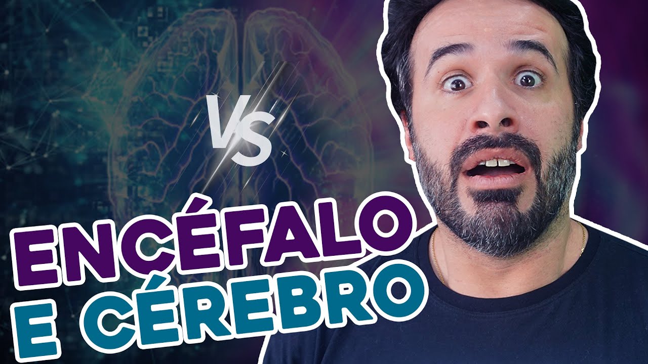 ENCÉFALO E CÉREBRO: QUAL A DIFERENÇA ENTRE ELES?