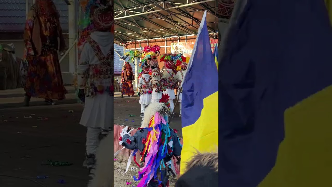 Capra de la Livezi (Vale) ediția 2025#2026
