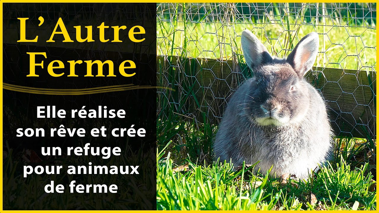 L’Autre Ferme - elle réalise son rêve et ouvre un refuge pour animaux d’élevage