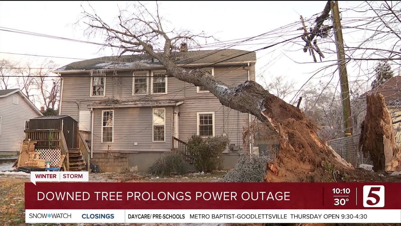 One downed tree in Old Hickory may be prolonging the neighborhood's power outage