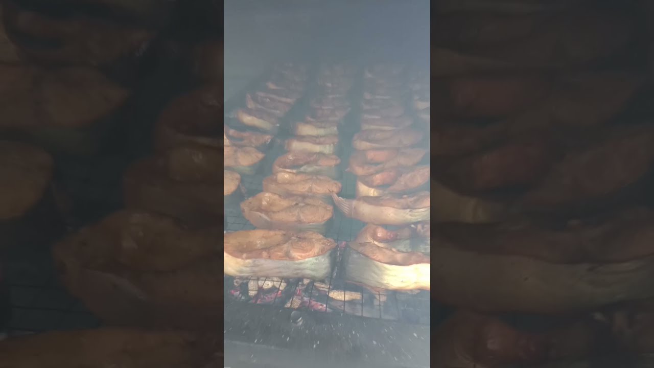 IKAN ASAP PATIN 