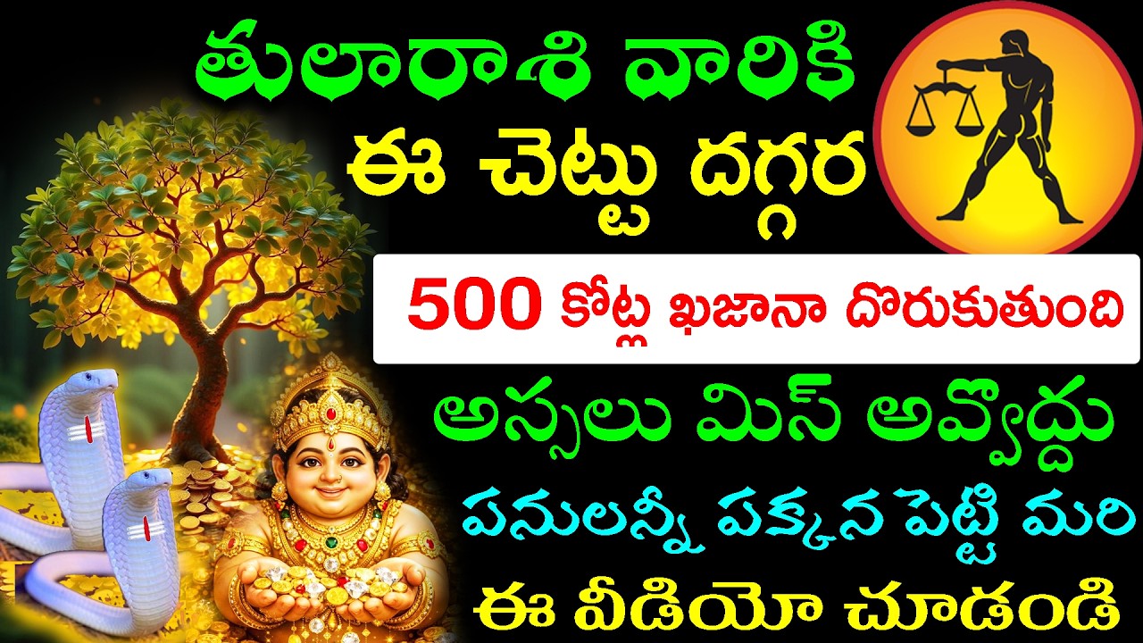 తులా రాశి వారికి ఈ చెట్టు దగ్గర 500 కోట్ల ఖజానా దొరుకుతుంది .అస్సలు మిస్ అవ్వొద్దు పనులన్నీ పక్కన