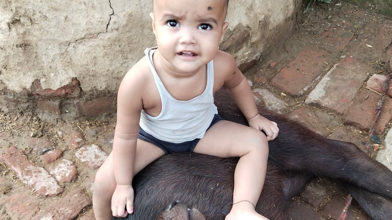 do nanhe sathi 