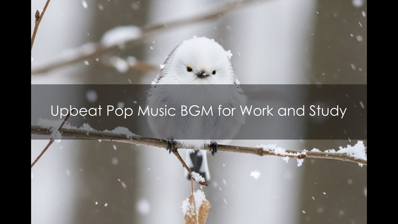Color Collections - Crystal Snow Reflection 【作業用・勉強用BGM】 Upbeat Pop Music BGM for Work and Study