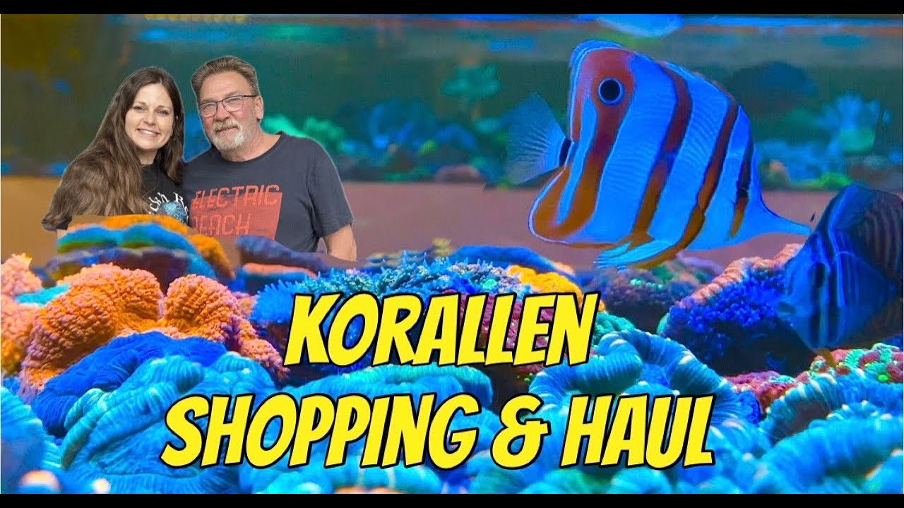 Neue Korallen kaufen 🛍️ für meinen 1000 Liter Reeftank - mit Beratung von Jonny & Unboxing zu Hause