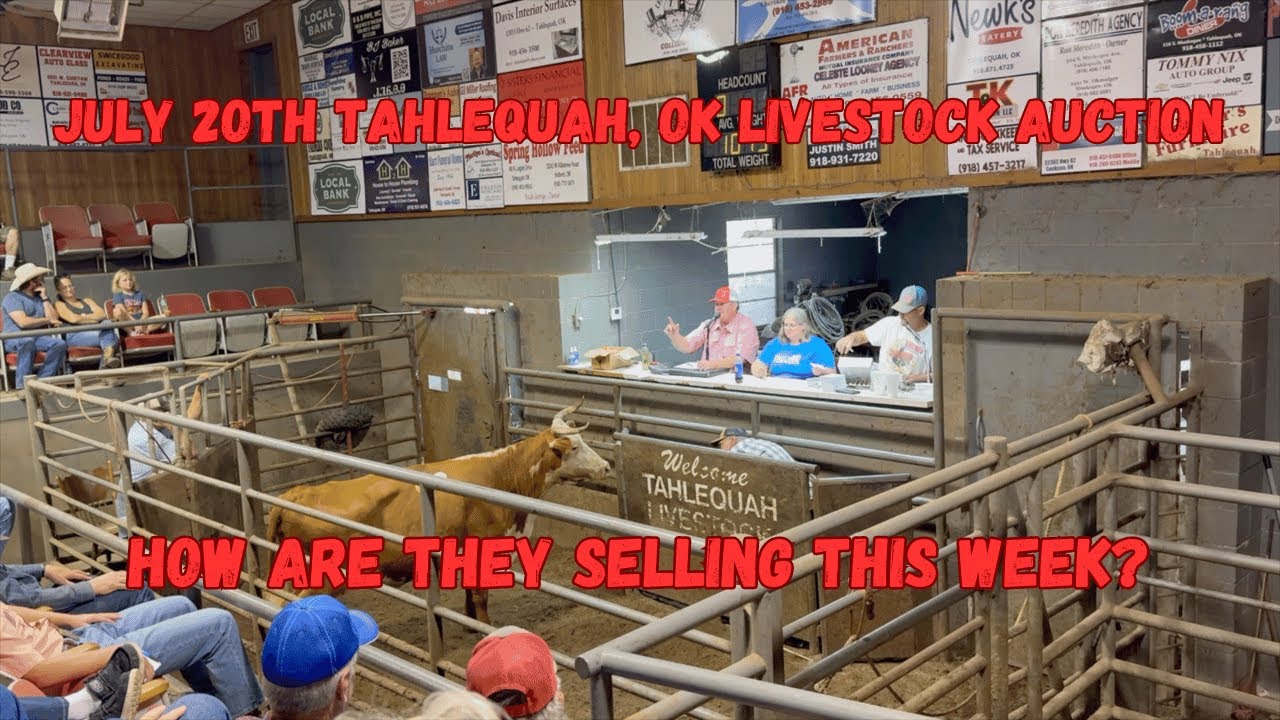 July 20th Tahlequah Oklahoma Livestock Auction! How are they Selling? / Livestock / Auction /