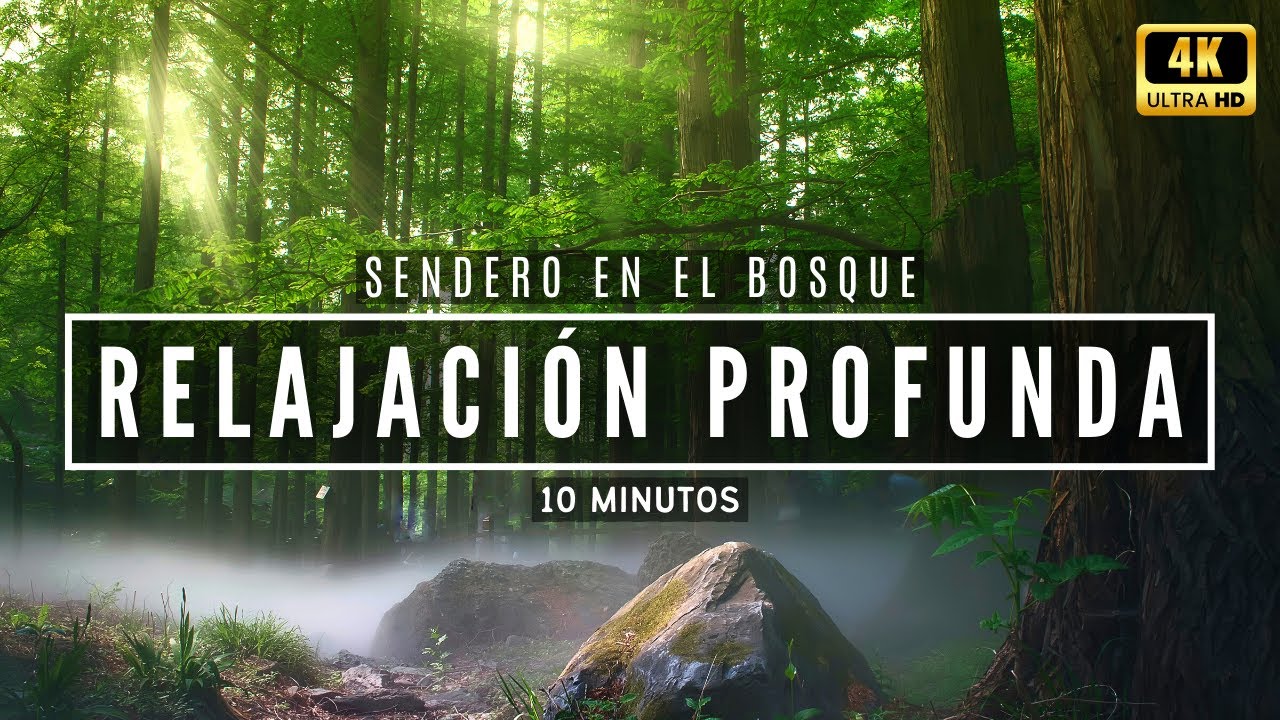 🎧 Meditación Guiada: SENDERO en el BOSQUE | Relajación Guiada para la ANSIEDAD y el ESTRÉS | 10 Min