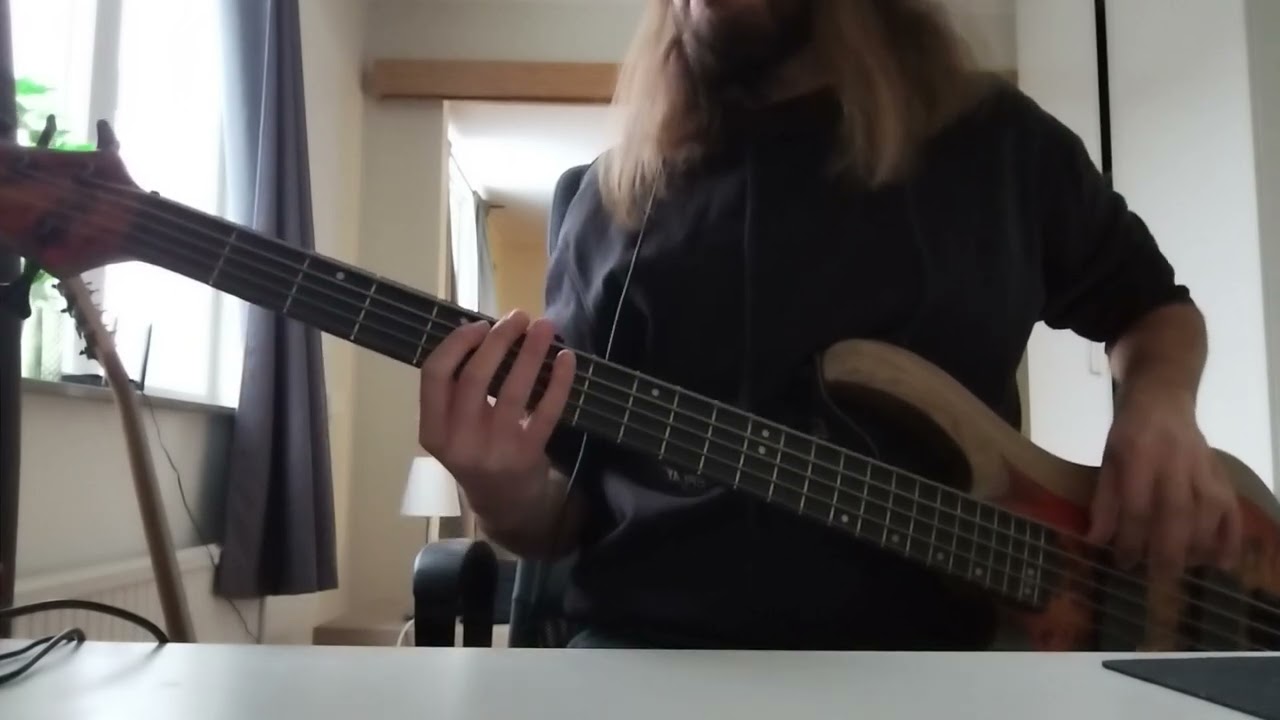 Amaranthe - Drop Dead Cynical (Bass Cover)