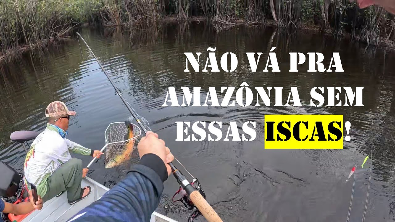 Essas iscas fizeram o sucesso das minhas pescarias na Amaz&ocirc;nia!