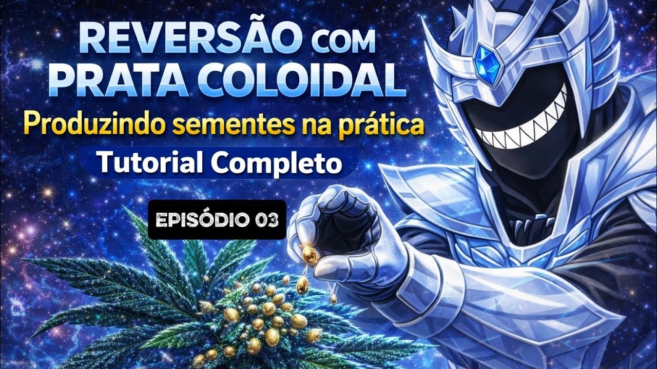 REVERS&Atilde;O COM PRATA COLOIDAL: Como Produzir Sementes Feminizadas (Parte 2)