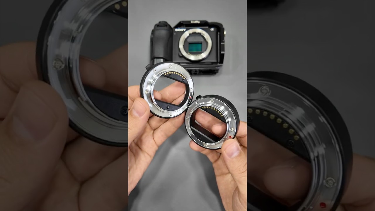 This adapter turns your camera into a microscope!