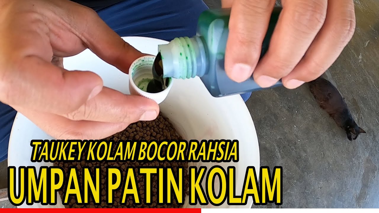 Cara Proses Bancuh umpan Patin Kolam Power dedak Pallet 920 Perasa pandan umpan Patin kolam mujarab
