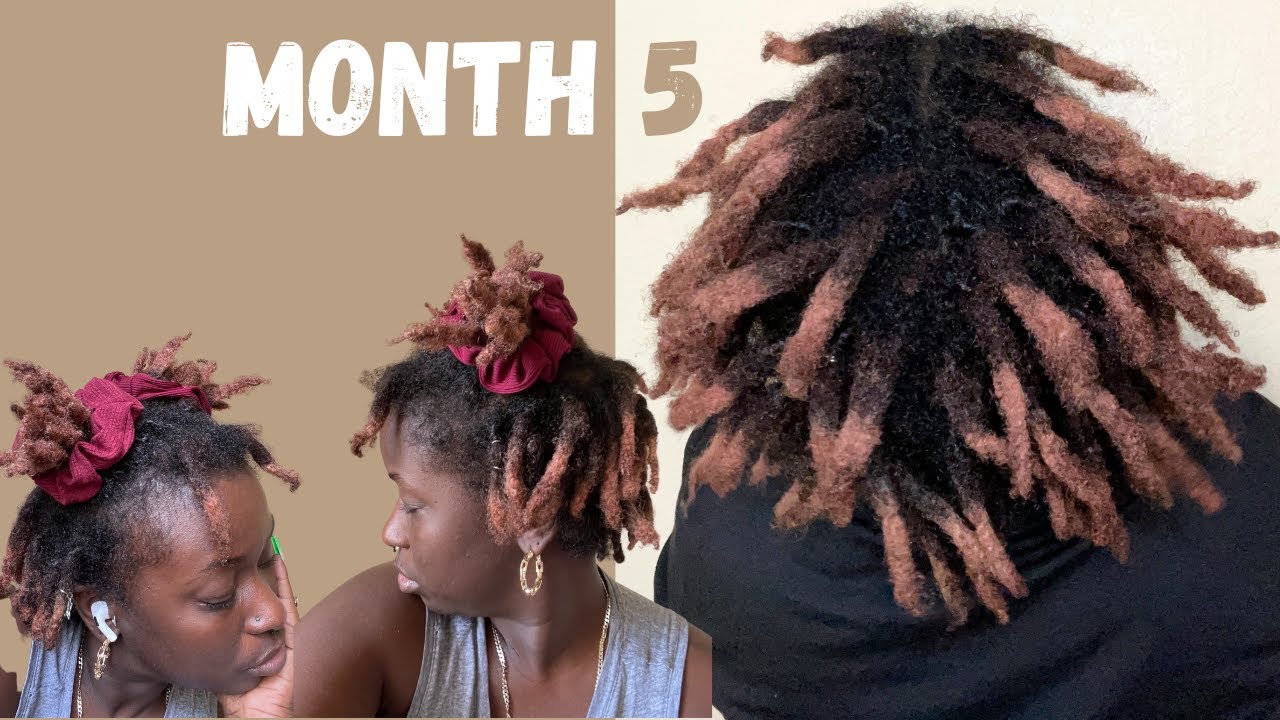 Semi Freeform Locs 1 Month Update / 5 Month Loc Journey