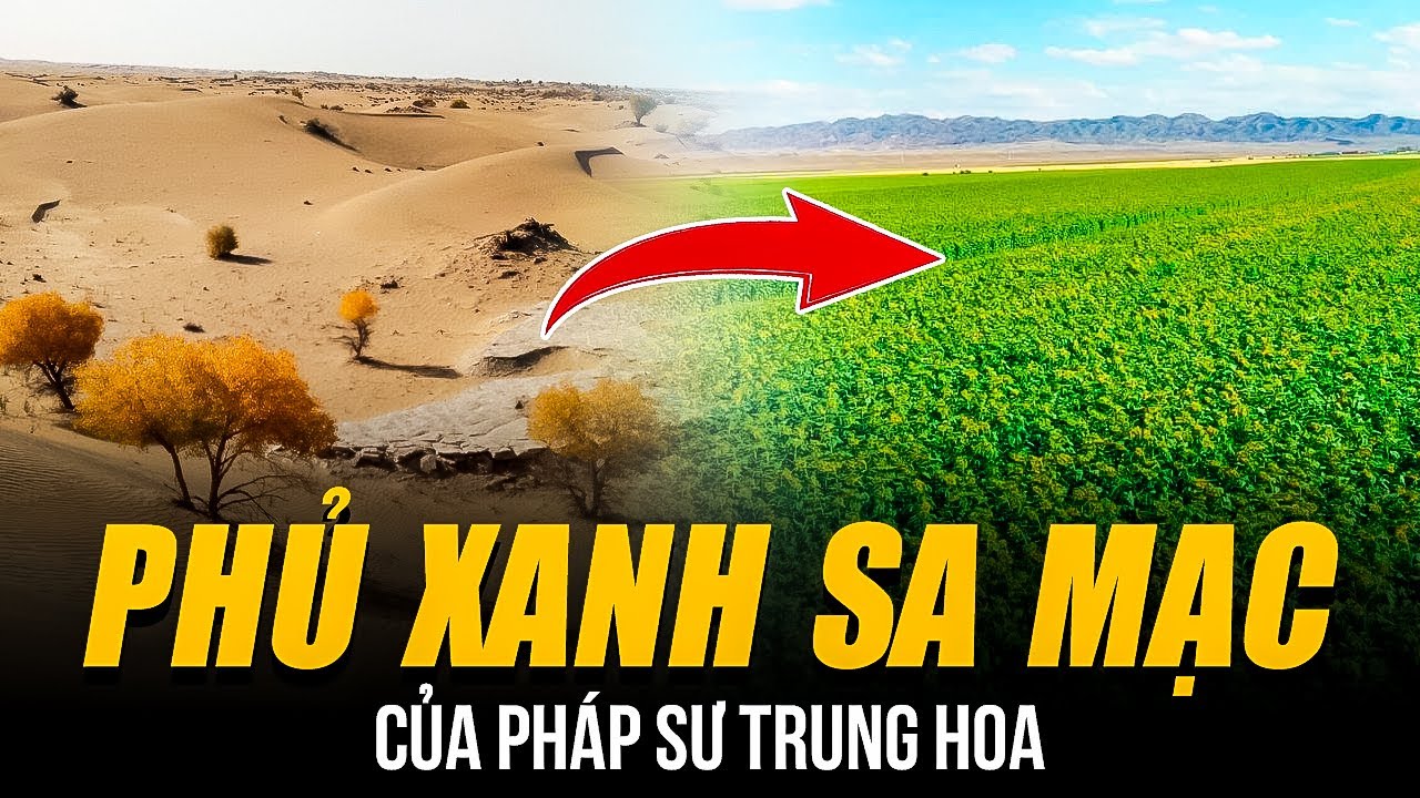 DỰ ÁN PHỦ XANH SA MẠC ĐỈNH CAO CỦA TRUNG QUỐC | ĐI NGƯỢC QUY LUẬT TỰ NHIÊN KHIẾN THẾ GIỚI NỂ PHỤC