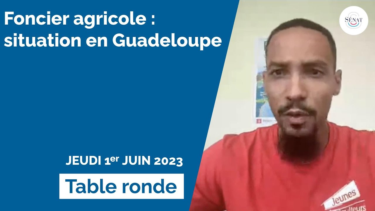 Foncier agricole : table ronde sur la situation en Guadeloupe
