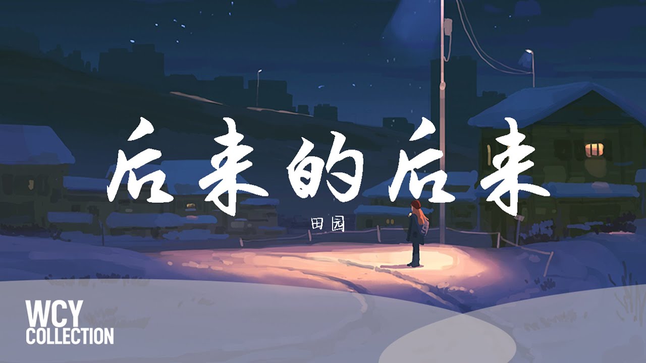 田园 - 后来的后来「后来的我们没有结果」【動態歌詞/pīn yīn gē cí】