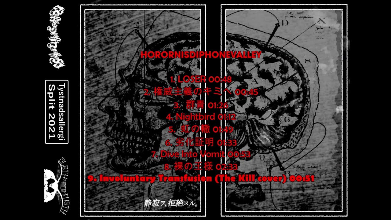 Horornisdiphonevalley + SlothPhantomMoth (Grindcore Split)