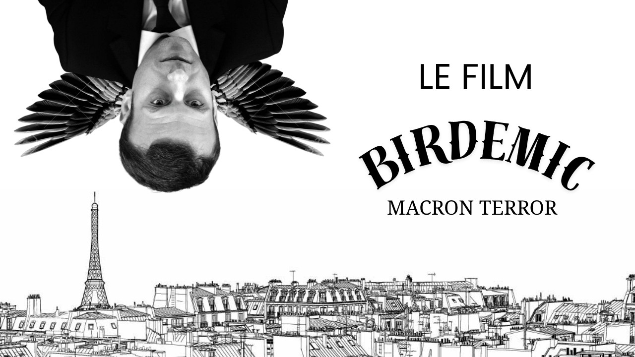Birdemic : Macron Terror