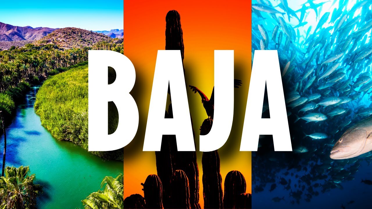 The PERFECT BAJA ROAD TRIP (Full Itinerary!)
