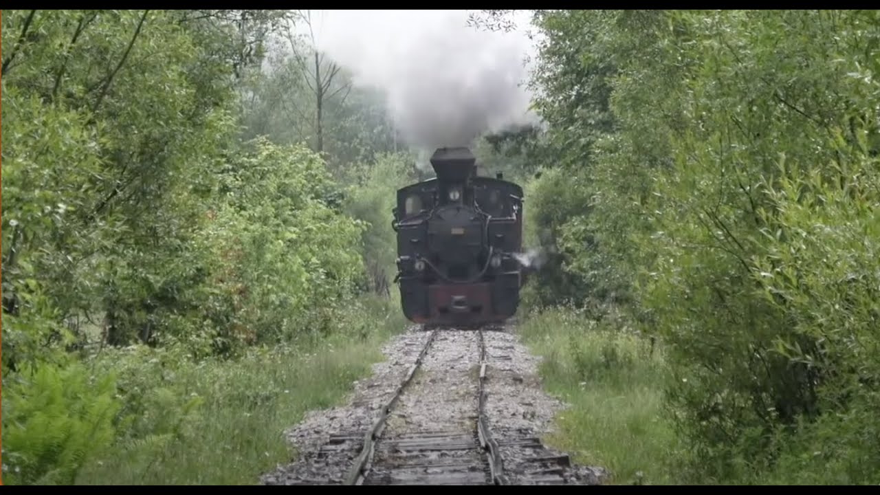 Die Wassertalbahn im Juni Teil II, Rumänien. (Mocănița) in Viseu de Sus