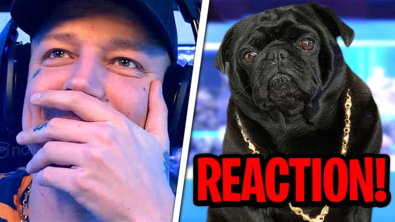 MontanaBlack REAGIERT auf Hungriger Hugo!😂 UUUIII | MontanaBlack Reaktion