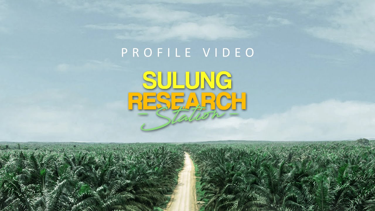 Video Profil | Sulung Research Station