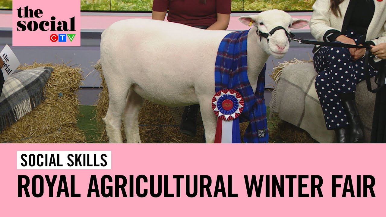 The Royal Agricultural Winter Fair is back | The Social