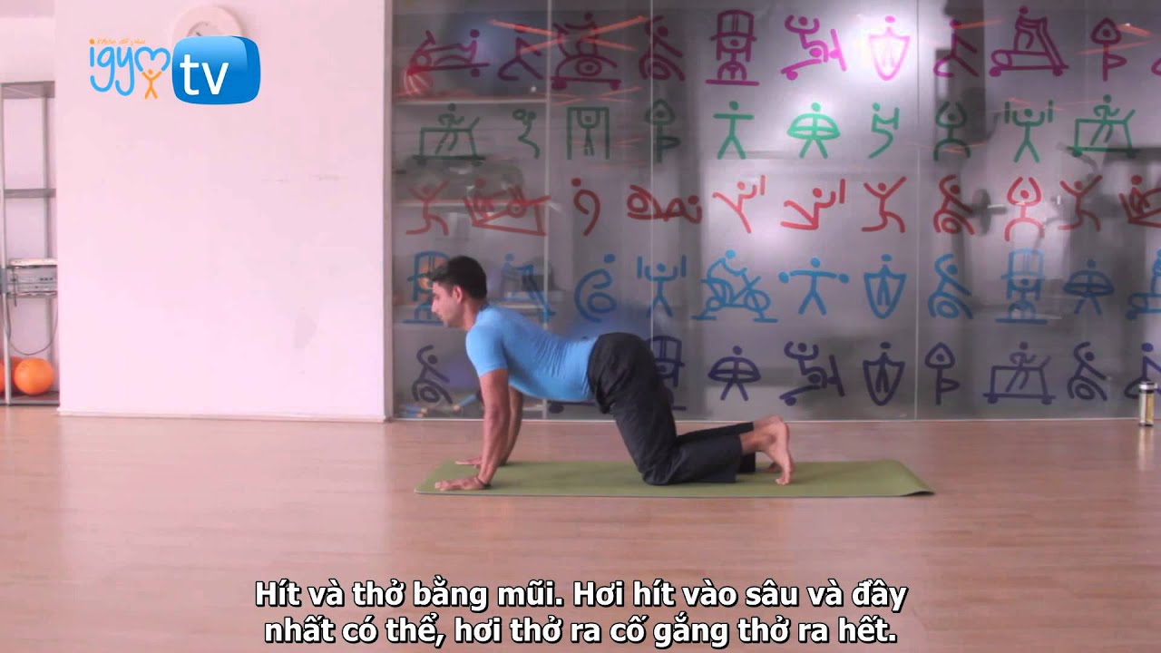 Sun Salutation By Master Amit