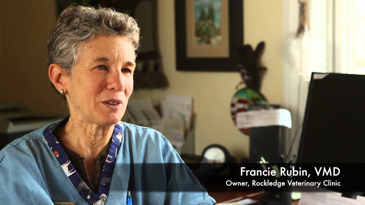Rockledge Veterinary Clinic - Integrative and Holistic Care Options