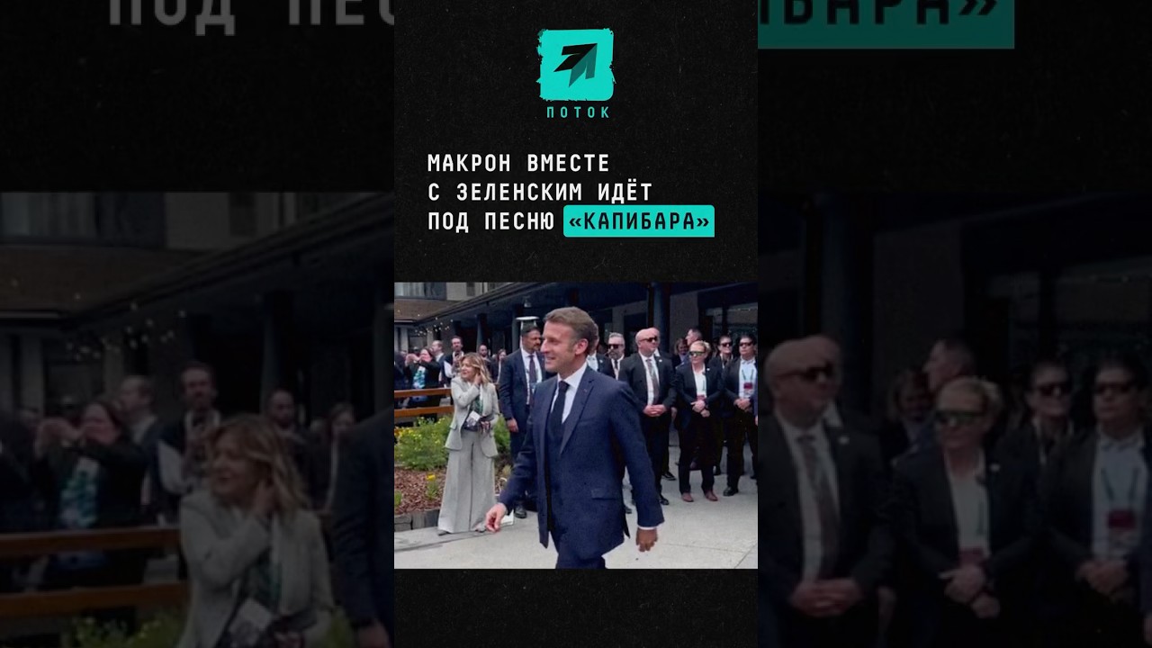 Макрон вместе с Зеленским идёт под песню &laquo;Капибара&raquo; #новости #поток #макрон #зеленский #капибара