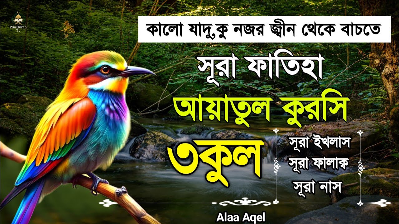 সূরা ফাতিহা আয়াতুল কুরসি ৩কুল তিলাওয়াত | Surah Fatiha Ayatul kursi 3qul | Alaa Aqel 
