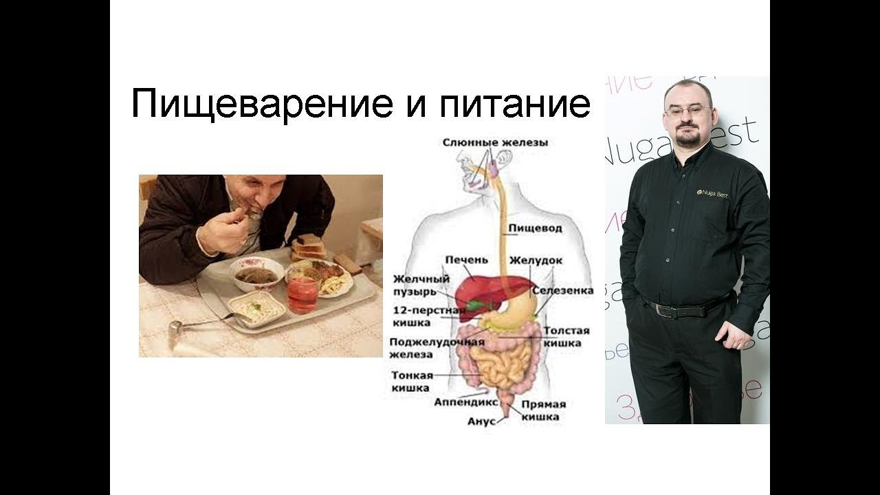 Правильное питание