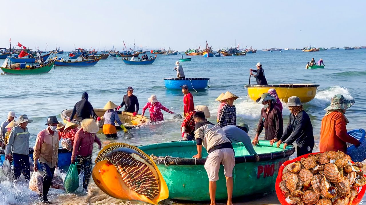 Ngư Dân Mũi Né Rời Về Bãi Sau Bán Hải Sản | Tôm Cá Ghẹ Mực Sò Ốc