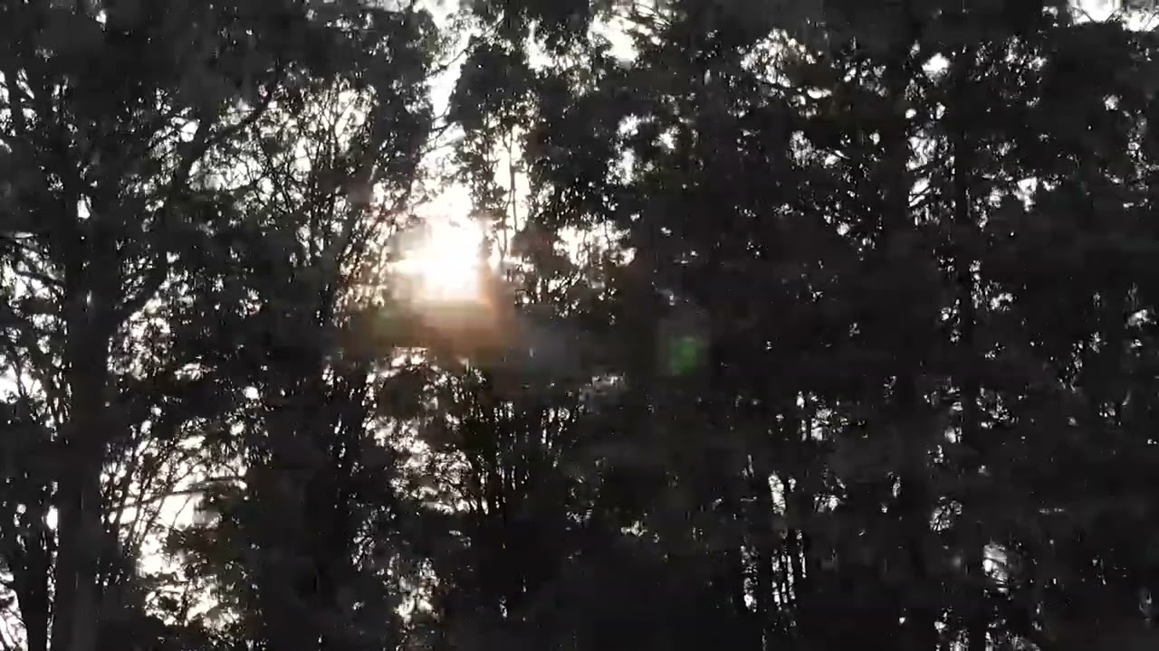 Karai Children Home Charity Visit