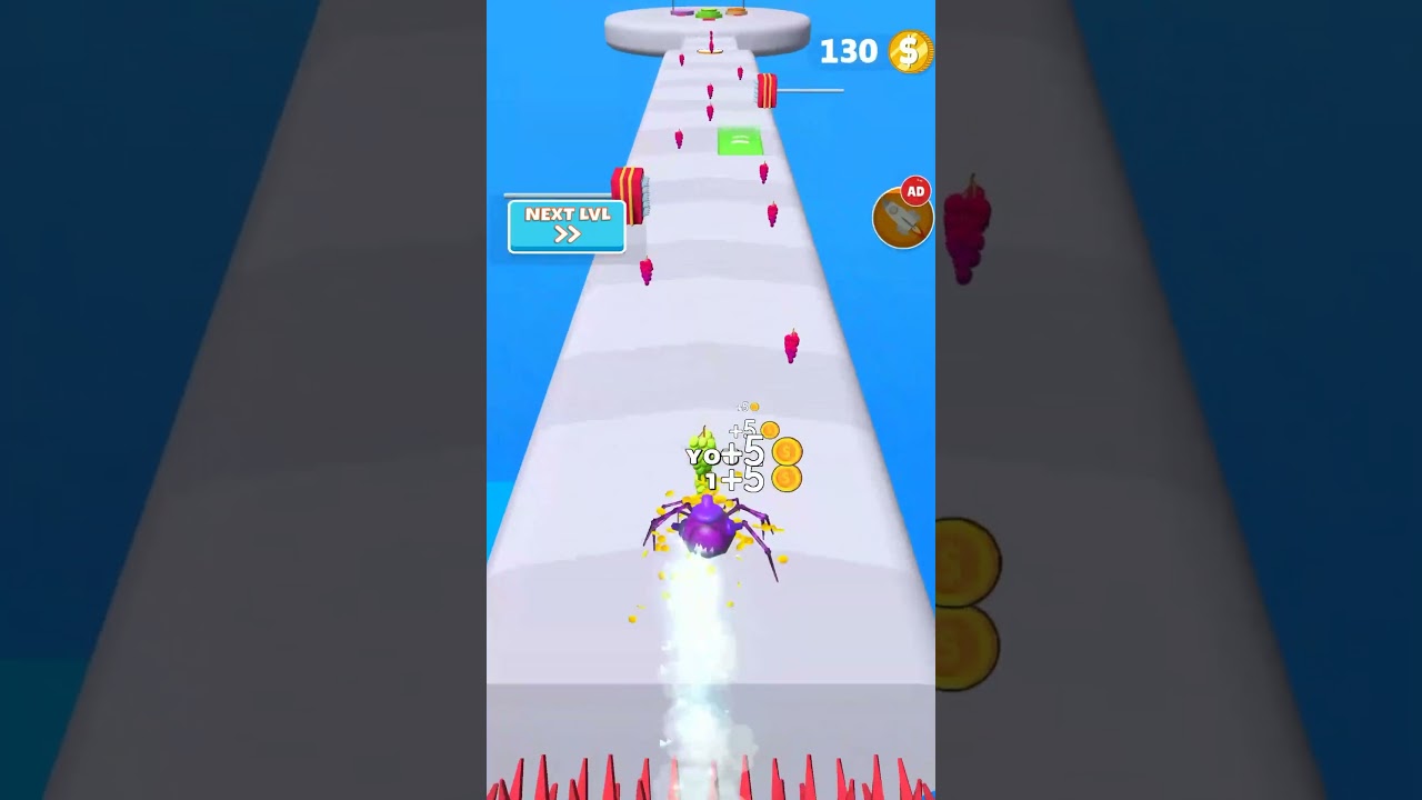 Ready, set, crawl! The spider race is on! 🕷️🏁