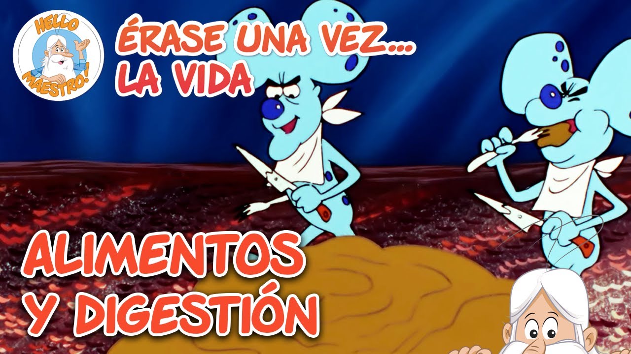 Alimentos, combustible y digestión | Recopilación de Episodios | Erase Una Vez... La Vida