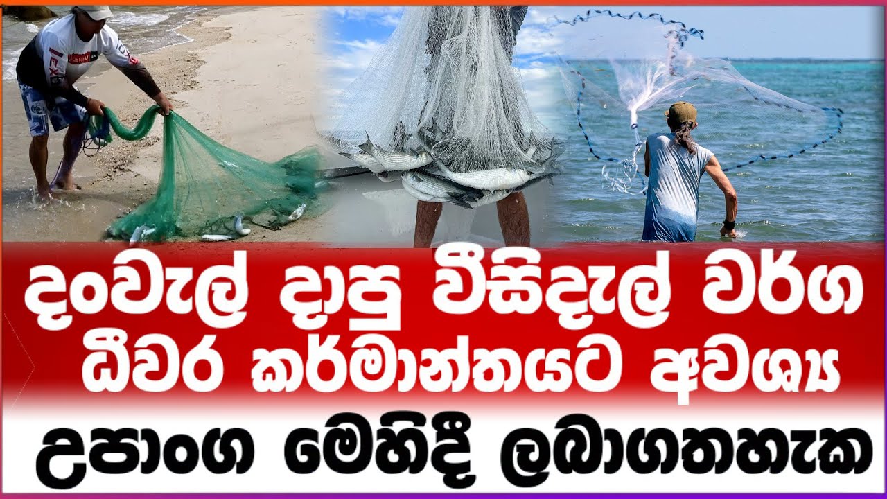 දංවැල් දාපු වීසිදැල් ධීවර කර්මාන්තයට අවශ්‍ය