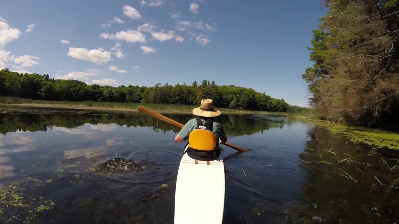 Kayaking Black River in Prince Edward County