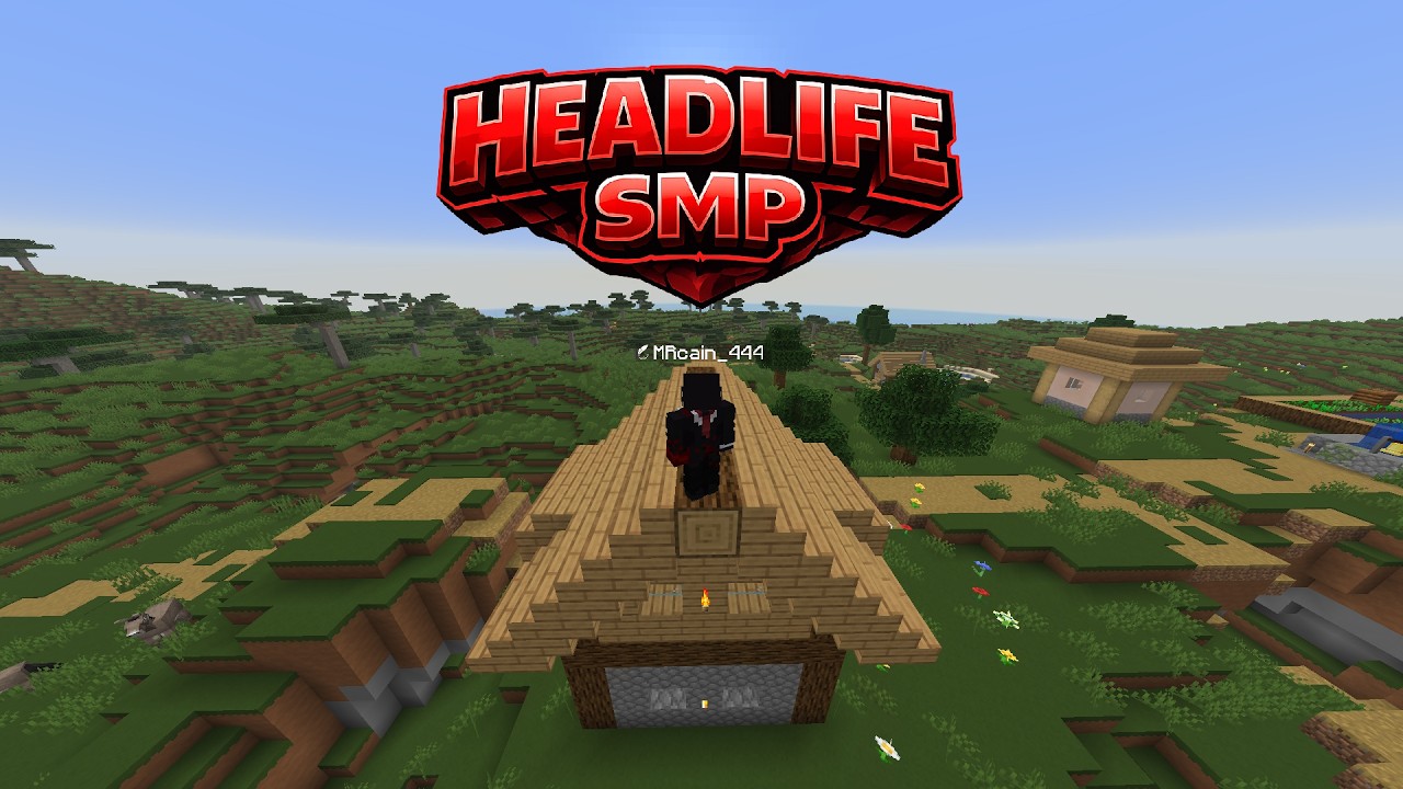 HeadLife SMP (application)