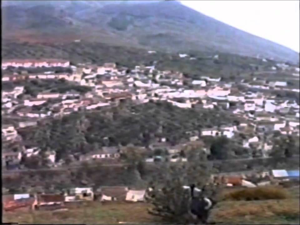 Historia de Pinos Puente. (Granada)